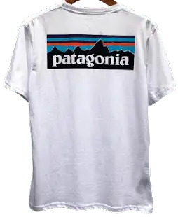 Patagonia Tee (18 Variants)