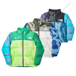 North Face x KAWS Puffer Nuptse Jacket #2