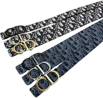 Dior Belts (8 Variants)