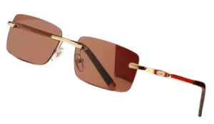 Cartier Sunglasses #2 (27 Variants)