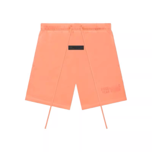 Premium ESSENTIALS 06-FW22 Shorts StockX Goat
