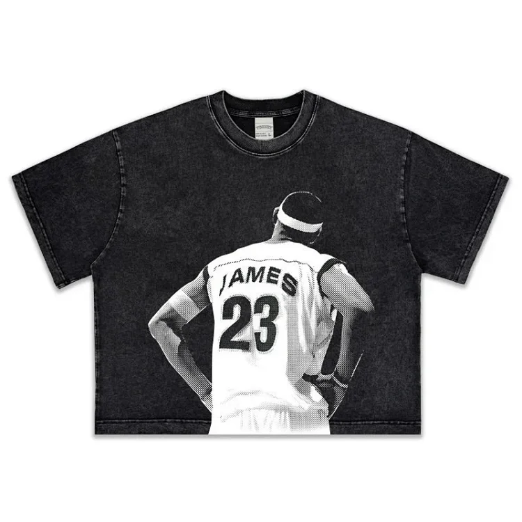 LeBron James Distressed Cropped T-Shirt